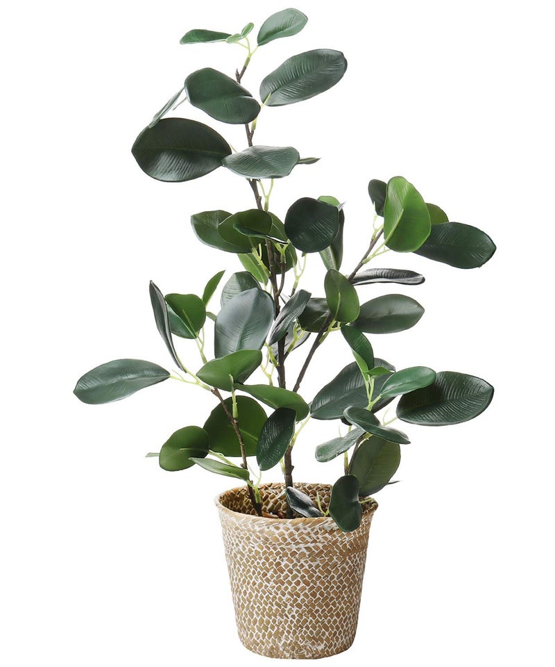 SAROSORA Artificial Ficus Tree Small Fake Plants in Weaved Pot 20" Height for Living Room Desktop Decor Indoor Home Office Ins Style (Green, 1) - Image 1